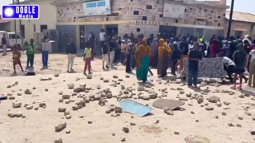 33FvIPoo 0JqSK5J.jpg