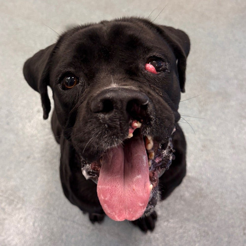 G1o5xYmXIAARW D?format=jpg.jpg