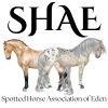 SHAE Logo.png