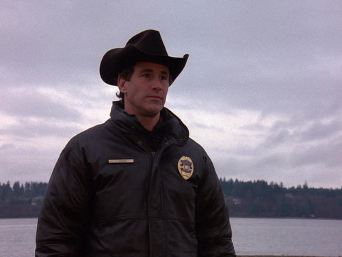 Twin.Peaks.S01E01.Pilot.1080p.BluRay.DTS.x264 WGZ.DUAL Palmer 003.jpg