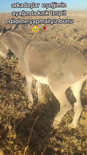 IB8R9 V7rXnN9v5U.jpg