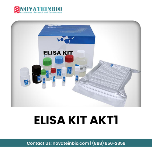 Elisa KIT AKt1.png