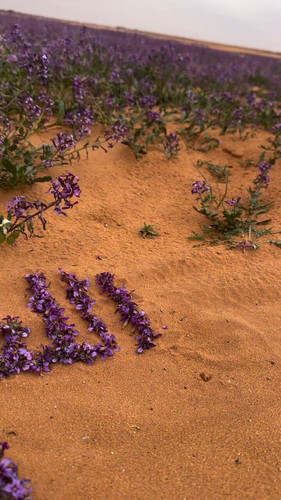 HH XOilhlIKhoFF5.jpg