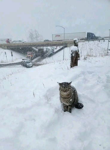 555065169 122236910540132042 365151809504754890 n.jpg