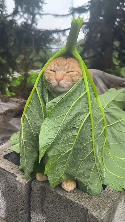 552760843 1378644567601258 8989629260264407357 n.jpg