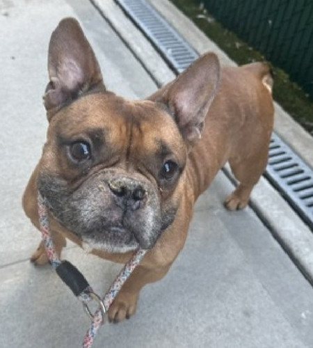 G0 sXVrXwAAQhTx?format=jpg.jpg