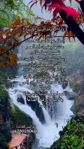 62TPpj6OKym7qm 3.jpg