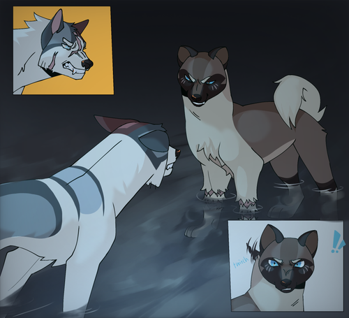 Untitled1615 20250703204038.png