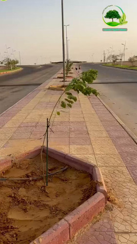 4MvR oHN CUwOwAV.jpg