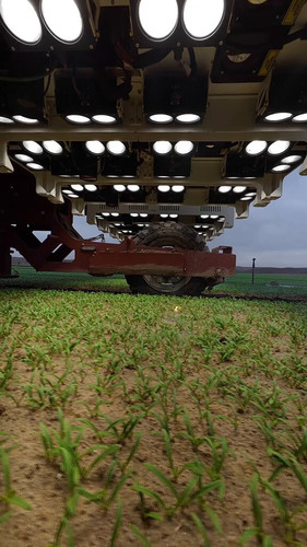 3VIfzr658fpA WI .jpg