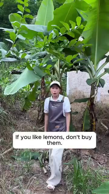 qADGwJda QyusgLi.jpg