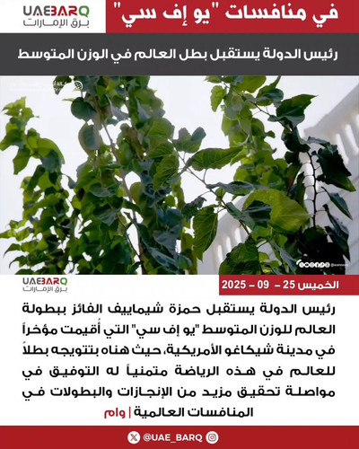 2gDyCzE2m8H7iT m.jpg