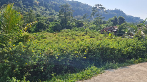 WhatsApp Image 2025 09 24 at 09.07.18 db0dd5a0.jpg