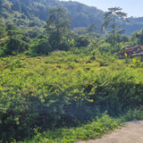 WhatsApp Image 2025 09 24 at 09.07.18 db0dd5a0