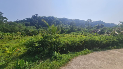 WhatsApp Image 2025 09 24 at 09.07.19 7229d752.jpg