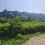 WhatsApp Image 2025 09 24 at 09.07.19 7229d752