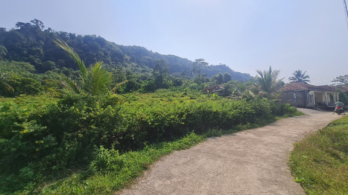 WhatsApp Image 2025 09 24 at 09.07.18 32a64164.jpg