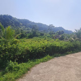 WhatsApp Image 2025 09 24 at 09.07.18 32a64164