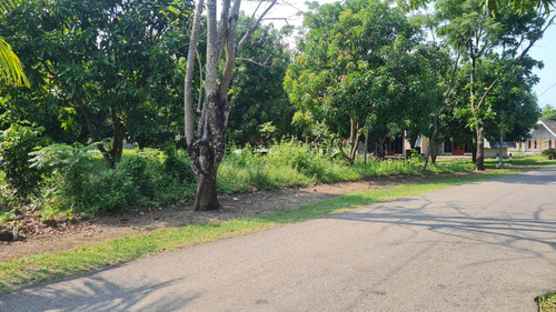 WhatsApp Image 2025 09 24 at 09.01.08 ad9b4a25.jpg