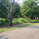 WhatsApp Image 2025 09 24 at 09.01.08 ad9b4a25