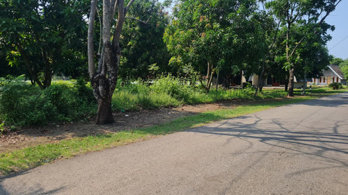 WhatsApp Image 2025 09 24 at 09.01.08 4f880b97.jpg