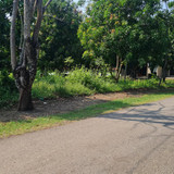 WhatsApp Image 2025 09 24 at 09.01.08 4f880b97