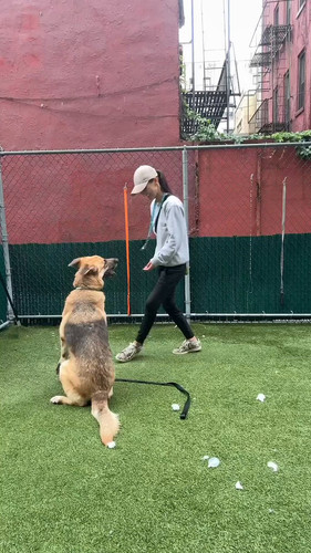 qe 2nIxHjWBrx5Lp.jpg