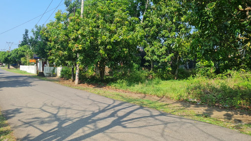 WhatsApp Image 2025 09 24 at 09.01.08 cbb0d8d5.jpg