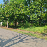 WhatsApp Image 2025 09 24 at 09.01.08 cbb0d8d5