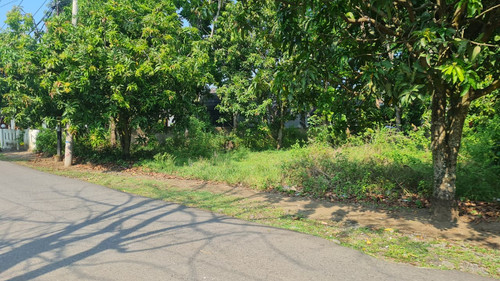 WhatsApp Image 2025 09 24 at 09.01.08 b6a7e27e.jpg