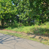 WhatsApp Image 2025 09 24 at 09.01.08 b6a7e27e