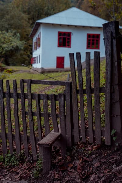 555720743 1167493565445468 3163077103992330419 n.jpg?stp=dst jpg s600x600 tt6& nc cat=101&ccb=1 7& n.jpg