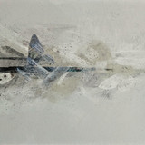 White Moth Black Butterfly the Cost of dreaming cd3