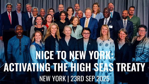 wQf0tyuJAUj wsaS.jpg