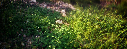 w crZam00DRBq9cU.jpg