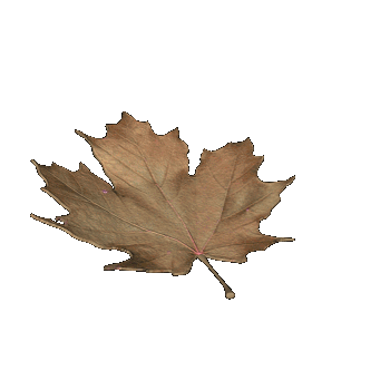 ezgif 4f1c24cbf57243 (1).gif