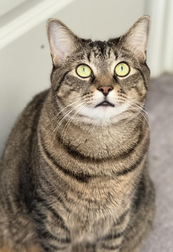 553683599 781258924796175 4870815673505600263 n.jpg