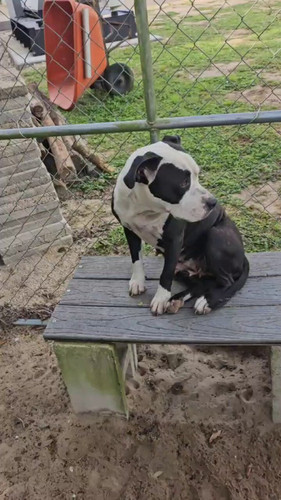 fRZO OcGaR zjpm6.jpg