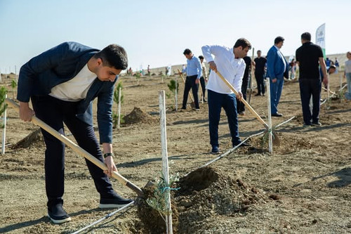 554729770 1211490644355391 8014759313904973583 n.jpg?stp=dst jpg p526x395 tt6& nc cat=110&ccb=1 7& n.jpg