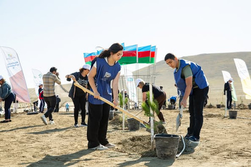 550465044 1210551794449276 2034601728583800577 n.jpg?stp=dst jpg p526x395 tt6& nc cat=106&ccb=1 7& n.jpg