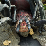 002 Shelob