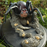 001 Shelob