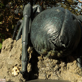 005 Shelob