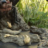 008 Shelob