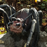 012 Shelob