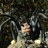 010 Shelob