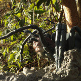 004 Shelob