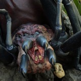 011 Shelob