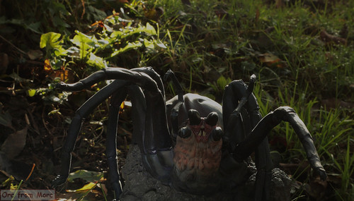 013 Shelob.jpg