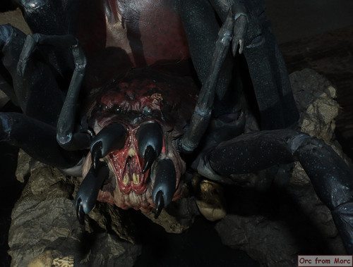 009 Shelob.jpg